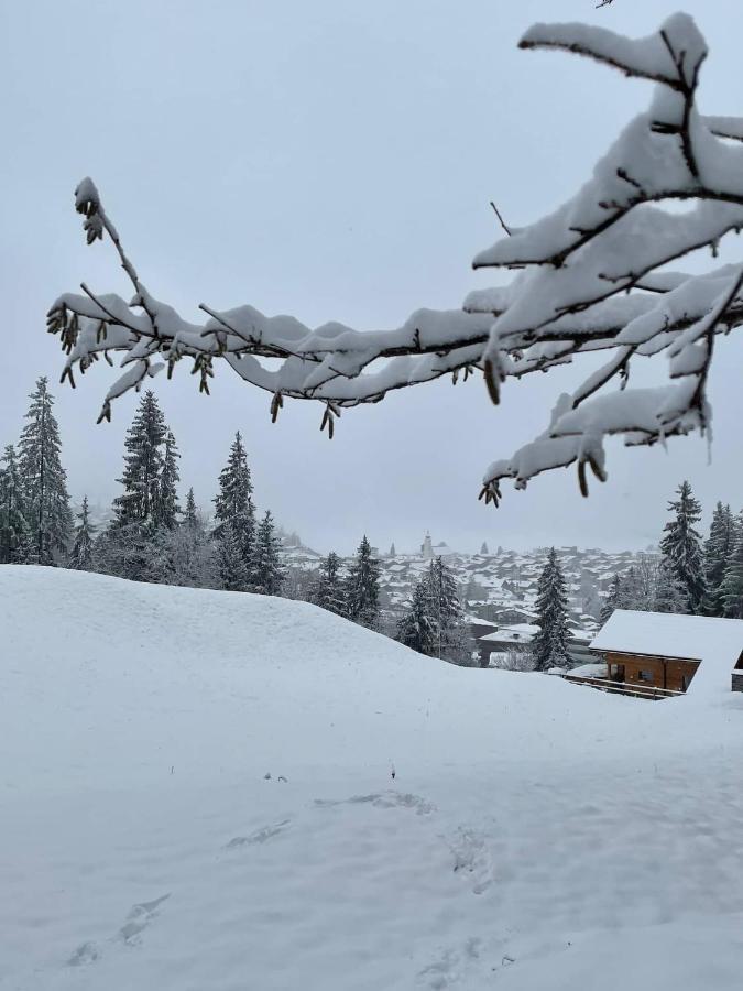 Ferienwohnung 3,5 Zimmer Direkt An Ski- Und Bikepiste Flims Eksteriør bilde